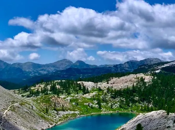 Two Panorama Apartment